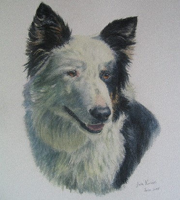 Painting of a Collie Dog